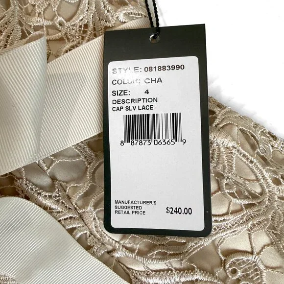 Adrianna Papell Lace Cap Sleeve Illusion Gown - Picture 7 of 10